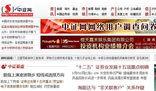 中证网站成功之路